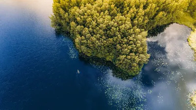 دانلود والپیپر هوایی دریاچه Lake Forest Aerial View Nature Scenery