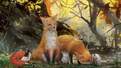 دانلود والپیپر خانواده روباه Fox Family Forest Animals