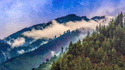 دانلود والپیپر هیمالیا و جنگل Himalayas Mountain Fog Forest