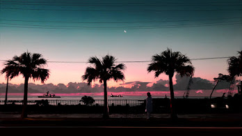دانلود والپیپر سیلوئت غروب Sunset Scenery Silhouette Art