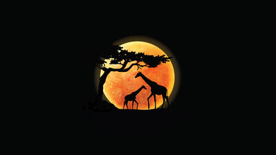 دانلود والپیپر زرافه مینیمال و ماه کامل Giraffe Minimalist Full Moon