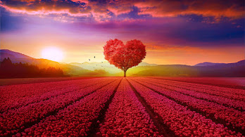 دانلود والپیپر درخت قلب و منظره رویایی Beautiful Heart Tree Landscape