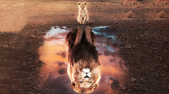 دانلود والپیپر توله شیر Lion Cub
