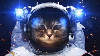 دانلود والپیپر فضانورد گربه Astronaut Cat