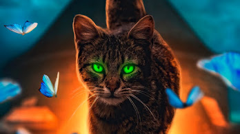 دانلود والپیپر دیجیتال گربه Cat Digital Art