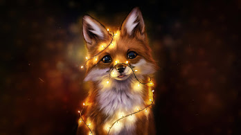 دانلود والپیپر روباه بامزه Fox Cute