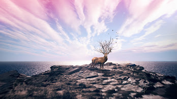 دانلود والپیپر گوزن Deer