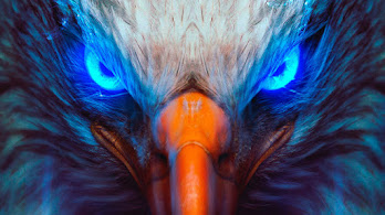 دانلود والپیپر عقاب Eagle Eye Digital Art