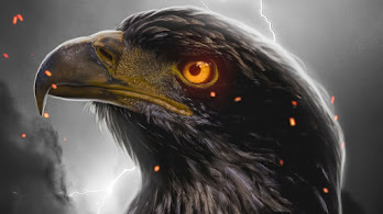 دانلود والپیپر چشم عقاب Eagle Eye