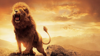 دانلود والپیپر غرش شیر Lion Roar
