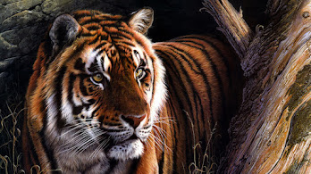 دانلود والپیپر ببر Tiger Art