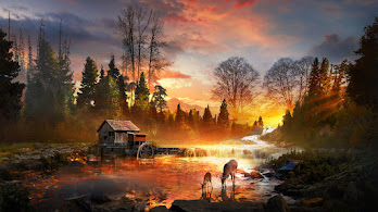دانلود والپیپر منظره طبیعت گوزن و رودخانه غروب Nature River Deer Sunset Scenery