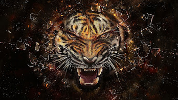 دانلود والپیپر ببر غرش Tiger Growl