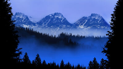 دانلود والپیپر سیلوئت کوه و جنگل Mountain Forest Silhouette