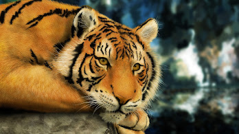 دانلود والپیپر ببر Tiger