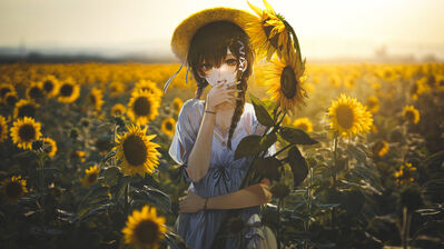 دانلود والپیپر دختر انیمه مزرعه آفتابگردان Anime Girl Sunflower Field