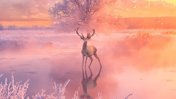 دانلود والپیپر گوزن Deer