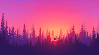 دانلود والپیپر مینیمال غروب آفتاب جنگل Minimalist Sunset Sun Forest