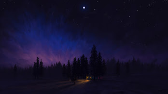 دانلود والپیپر جنگل شبانه و آسمان Night Sky Scenery Forest