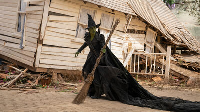 دانلود پوستر الفابا ویکد Elphaba Wicked: For Good