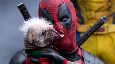 دانلود والپیپر ددپول و ولورین با سگ Deadpool Wolverine Deadpool Dog