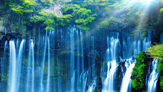 دانلود والپیپر آبشار طبیعت Falls Nature Forest Scenery