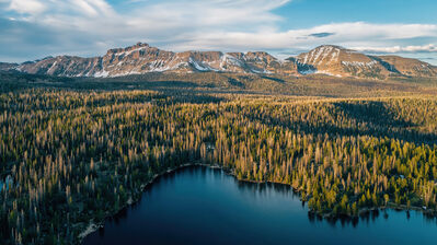 دانلود والپیپر منظره جنگل از بالا کوه طبیعت Forest Aerial View