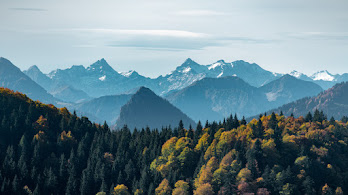 دانلود والپیپر جنگل کوه منظره طبیعت Forest Mountain Scenery Nature