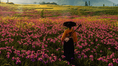 دانلود والپیپر گوست آو یوتی Ghost of Yotei Mountain Flower Field Scenery