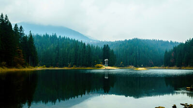 دانلود والپیپر منظره طبیعت دریاچه و جنگل Lake Forest Nature Scenery