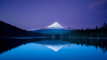 دانلود والپیپر جنگل و دریاچه شب Mountain Lake Forest Night