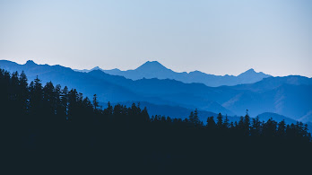 دانلود والپیپر منظره جنگل کوه Mountain Landscape Forest Scenery