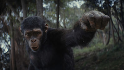 دانلود پوستر نوا پادشاهی سیاره میمون‌ها Noa Kingdom Planet of the Apes