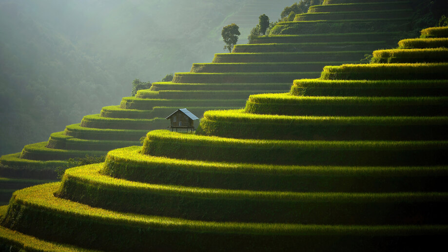 دانلود والپیپر منظره شالیزارهای پلکانی Rice Terraces Nature Scenery | شالیزارهای پلکانی یعنی سختی و زیبایی؛ تو فقط سختی.