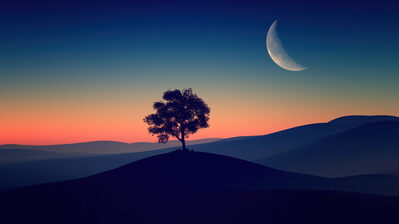 دانلود والپیپر منظره ماه نو و درخت در غروب Sunset Dusk Crescent Moon Tree Scenery