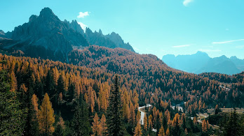 دانلود والپیپر کوهستان پاییزی Forest Autumn Mountain Forest