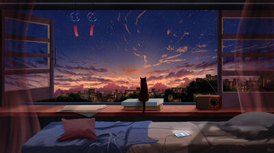 دانلود والپیپر گربه و غروب City Cat Sunset Scenery Window