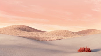 دانلود والپیپر منظره Landscape Scenery Background