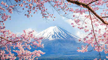 دانلود والپیپر کوه فوجی و شکوفه گیلاس Mount Fuji Cherry Blossom Scenery Volcano