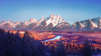 دانلود والپیپر منظره کوه درخت جنگل طبیعت Mountain Landscape Trees Nature Forest Scenery