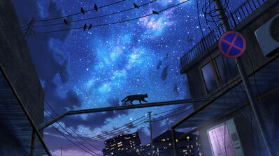 دانلود والپیپر آسمان شب ستاره گربه Night Sky Stars Cat Scenery