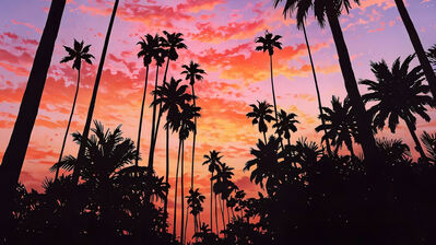 دانلود والپیپر غروب آسمان درخت نخل Sunset Sky Scenery Palm Tree