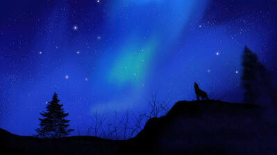 دانلود والپیپر سیلوئت گرگ آسمان شب Wolf Silhouette Night Sky Scenery
