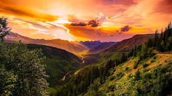 دانلود والپیپر افق درختان و کوه Mountains Forest Trees Horizon
