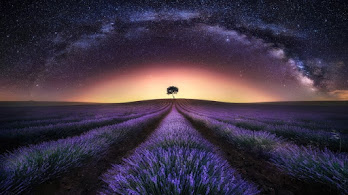 دانلود والپیپر کهکشان و مزرعه اسطوخودوس Milky Way Lavender Field