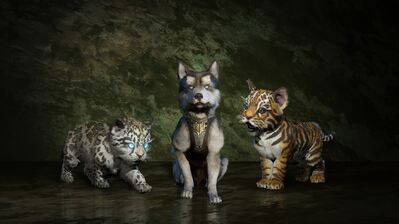 دانلود والپیپر حیوانات خانگی دیابلو ۴ Diablo IV Vessel of Hatred Pets