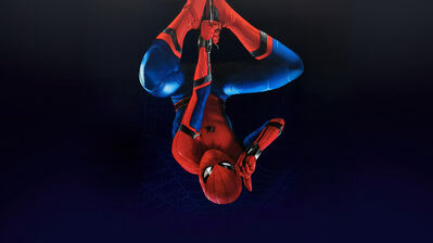 دانلود والپیپر مرد عنکبوتی وارونه Spider-Man Upside Down