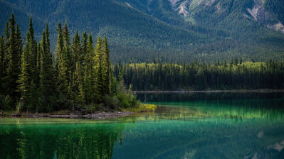 دانلود والپیپر جنگل و دریاچه Forest Lake Nature