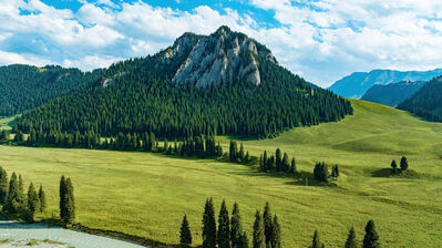 دانلود والپیپر منظره کوه و جنگل زیبا Mountain Beautiful Forest Scenery