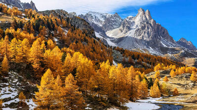 دانلود والپیپر منظره کوهستان جنگل پاییزی Autumn Forest Mountain Scenery